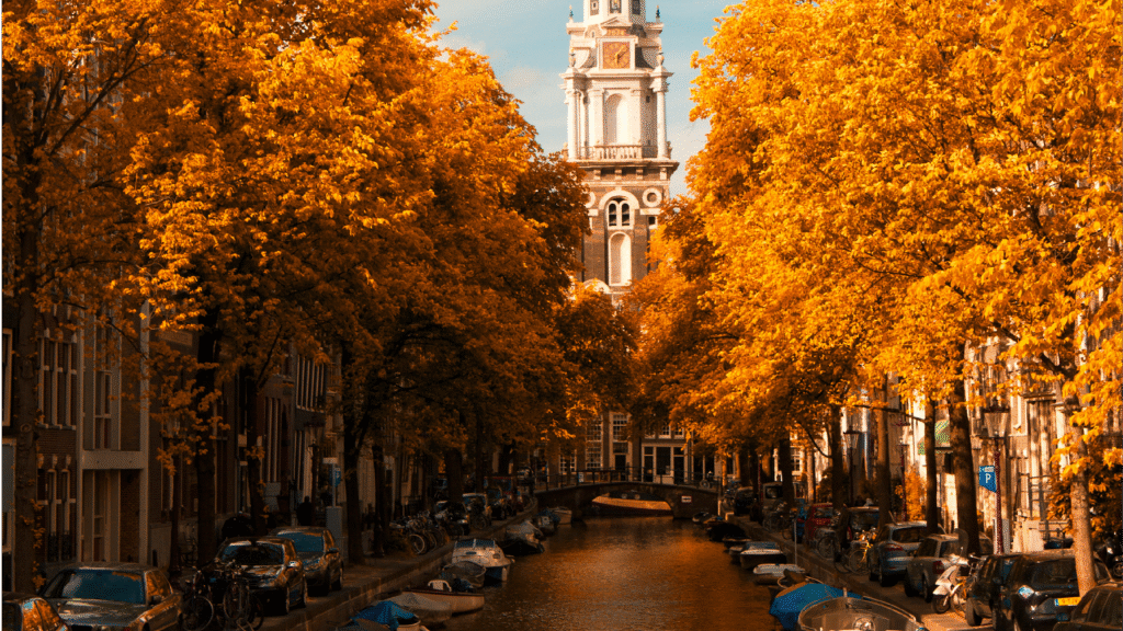 Cisco Live Amsterdam 2025 – featured image