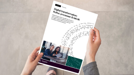 Digital transformation Whitepaper thumbnail - 2025 v1