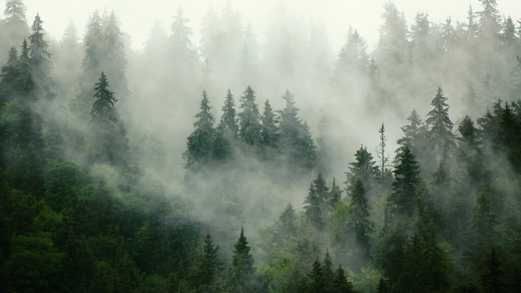 splunk observability cloud feature